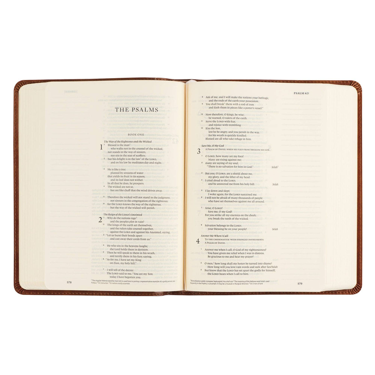 ESV Single Column Journaling Bible: Sierra Theme