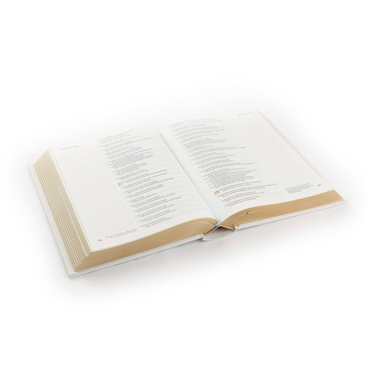 Lisbon Theme NLT Notetaking Bible