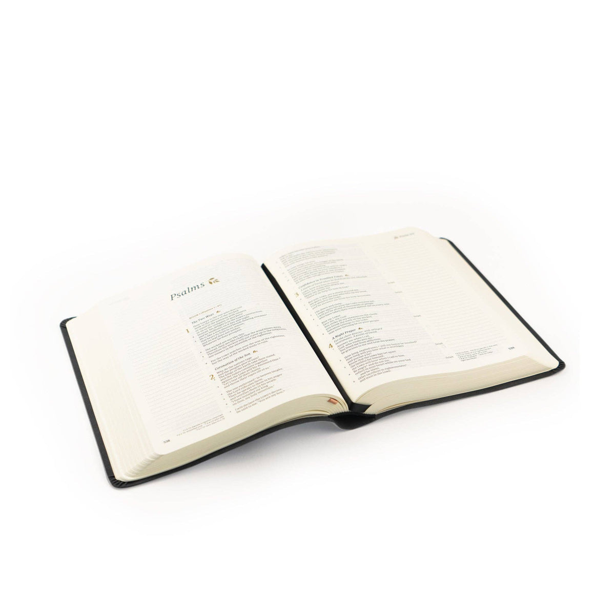 Jerusalem Theme: CSB Notetaking Bible