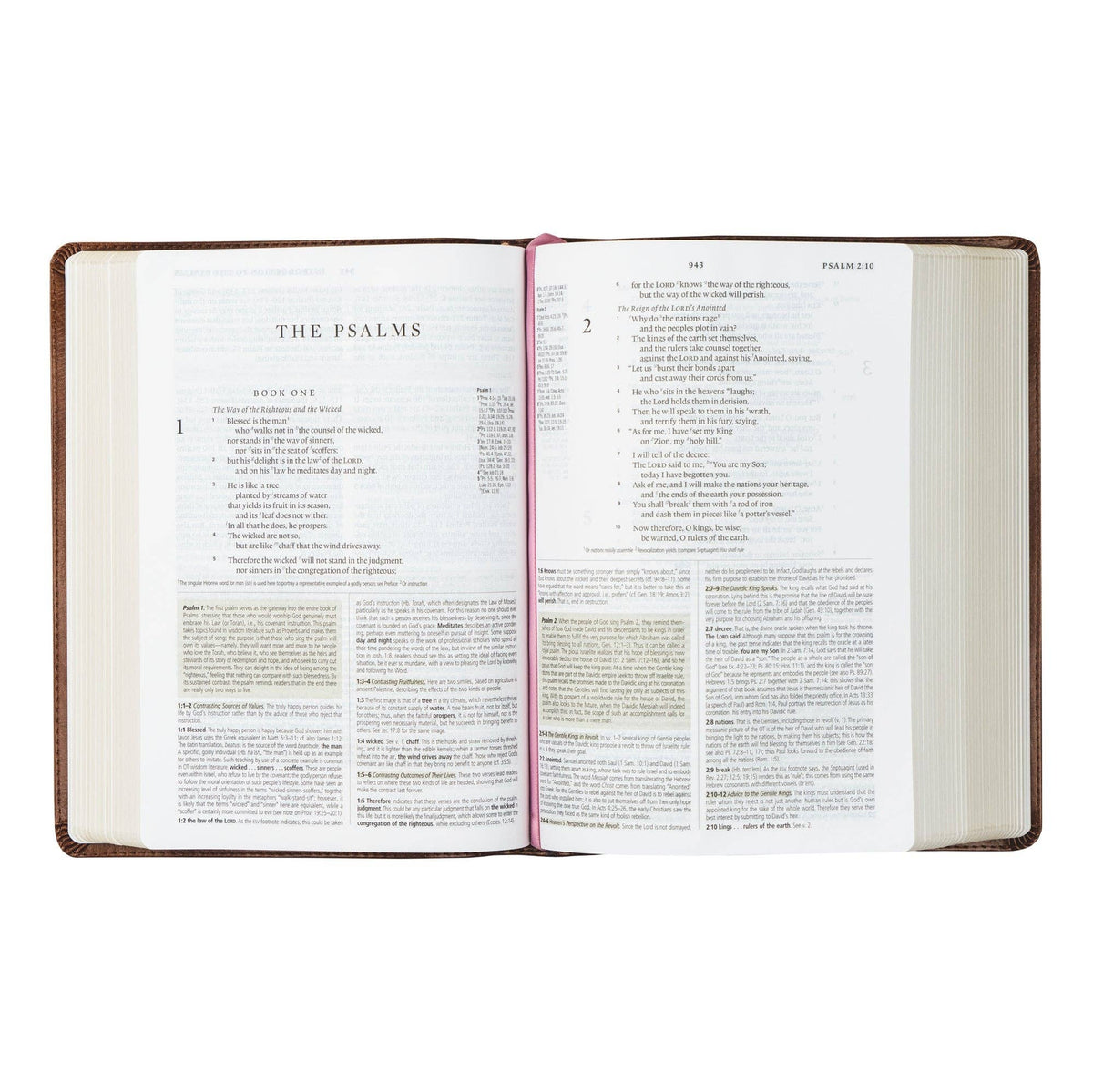 Aurora Theme ESV Study Bible