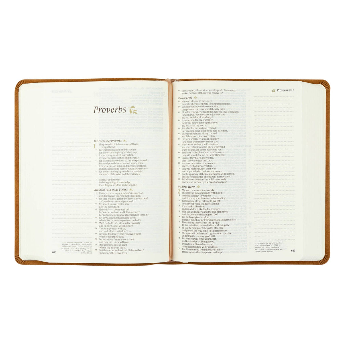 Amelia Theme CSB Notetaking Bible