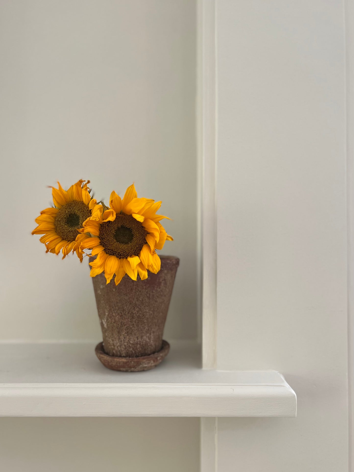 [IN STORE] Distressed Cement Planter, Three Sizes